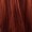 Lady Guinevere Wig